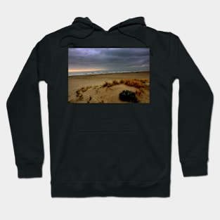 The sea in winter Hoodie